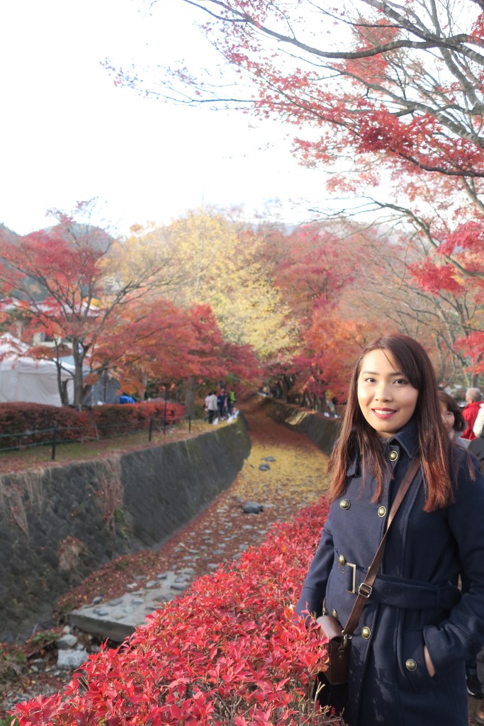 Autumn in Japan