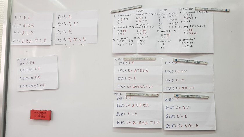 Plain form of verbs plastered on a white board at a classroom in Nihongo Center Foundation