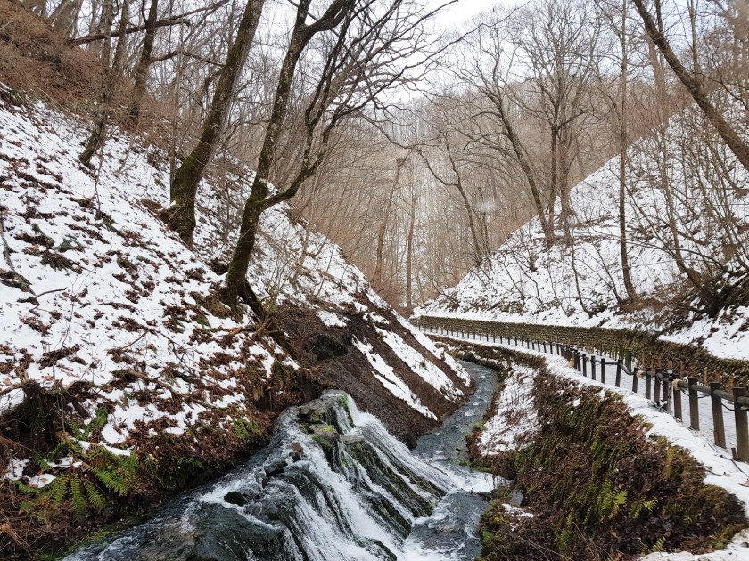 Small river along the pathway to Shiraito Falls, Karuizawa, Nagano, Japan